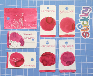 Diamine Carnation Fountain Pen Ink Sample