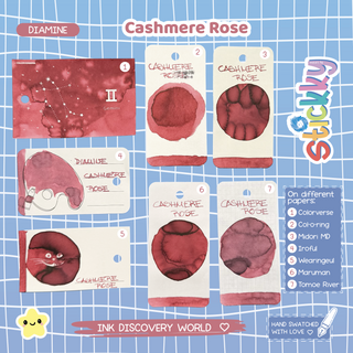 Diamine Cashmere Rose Fountain Pen Ink Sample