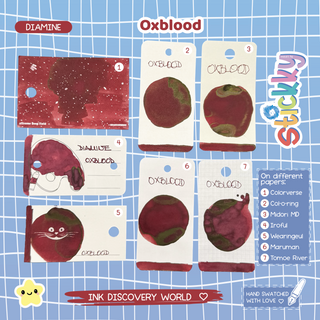 Diamine Oxblood Fountain Pen Ink Sample