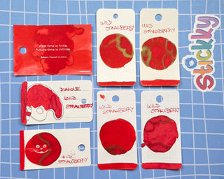 Diamine Wild Strawberry Fountain Pen Ink Sample