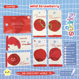 Diamine Wild Strawberry Fountain Pen Ink Sample