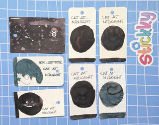 Ink Institute Cat at Midnight Fountain Pen Ink Sample