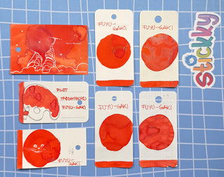 Pilot Iroshizuku Fuyu-gaki Fountain Pen Ink Sample