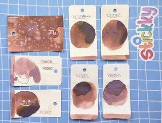 Troublemaker Rodeo Fountain Pen Ink Sample