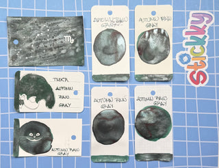 Troublemaker Autumn Rain Gray Fountain Pen Ink Sample